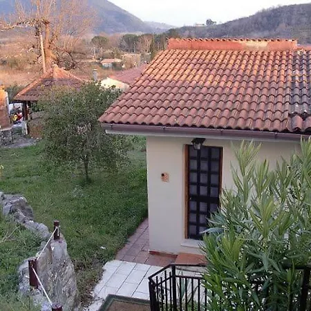 Virginia Willa Policastro Bussentino
